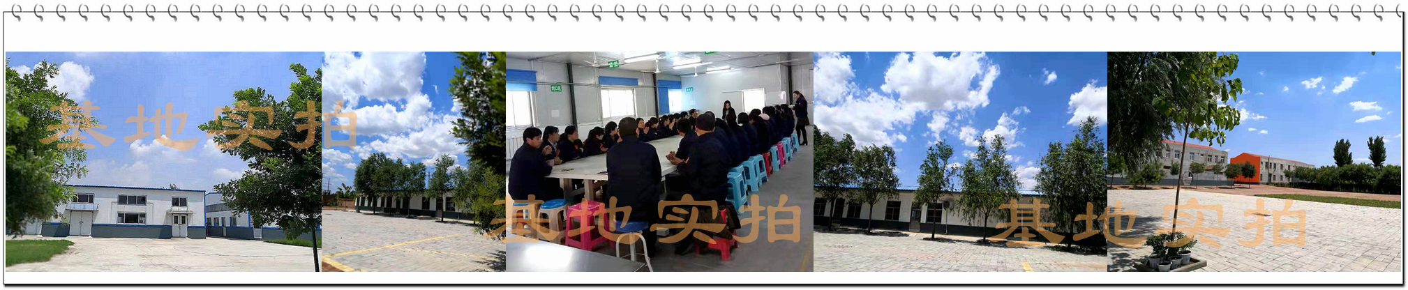 保健品代加工廠(chǎng)_山東蛹蟲(chóng)草壓片糖果貼牌SC認(rèn)證_德州健之源
